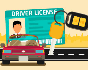 Commercial Driver's License (CDL) for Drivers