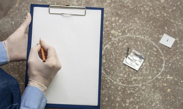 Handling A Sexual Harassment Investigation Interactive Training