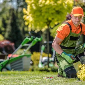 Landscape Maintenance Safety (Public Agency) Interactive Online Training